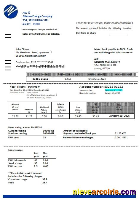 Kazakhstan Alliance Energy Company (AEC) Utility Bill Scr Photolook