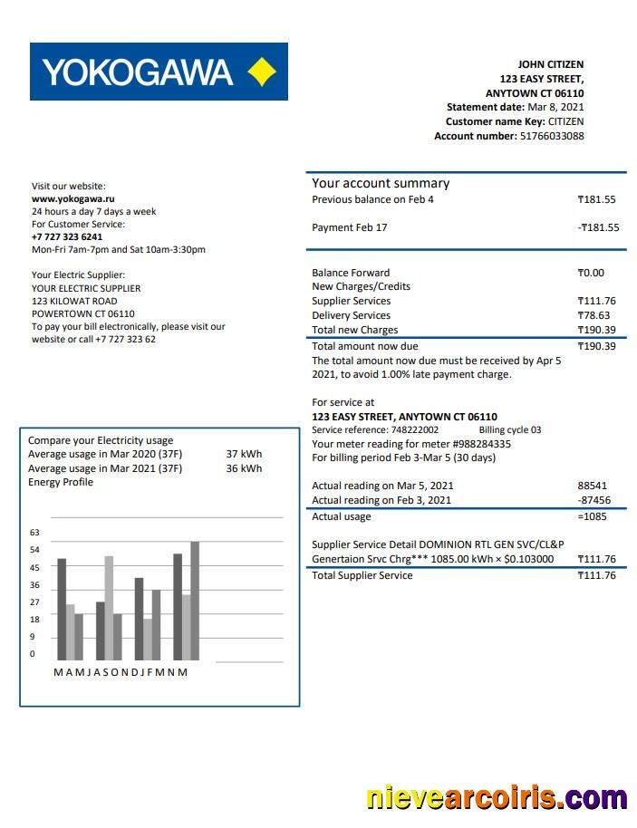 Premium Kazakhstan Yokogawa Electric Kazakhstan Utility Bill Template In Word And PDF Format (.doc And .pdf)