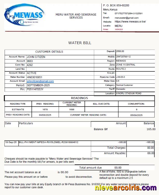 Editable Kenya Meru Water And Sewerage Services Utility Bill Template In Word And PDF Formats