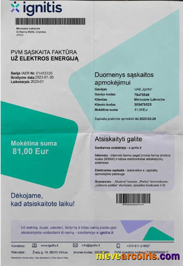 Premium LITVA IGNITIS Utility Bill Word And PDF Template