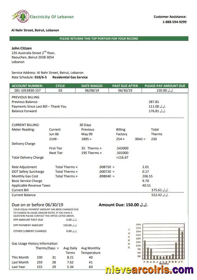 Professional Lebanon Electricity Of Lebanon Utility Bill Template In Word And PDF Format