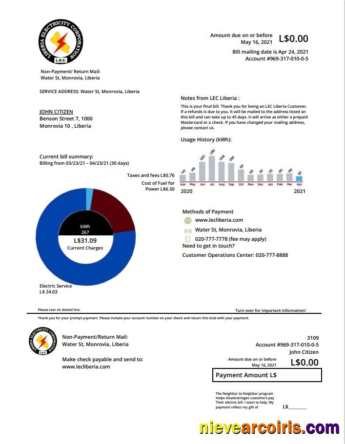 Realistic Liberia Electricity Corporation Utility Bill Template In Word And PDF Format
