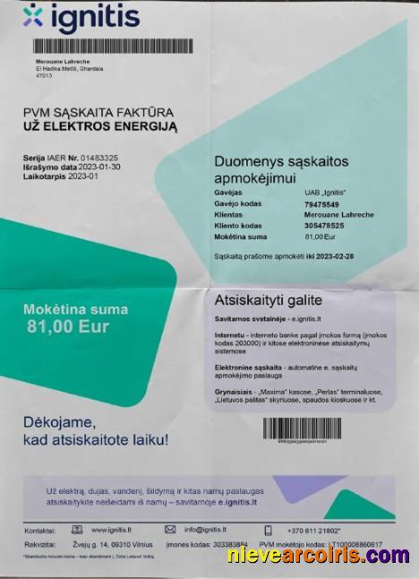 Lithuania Ignitis Electricity Bill Preview
