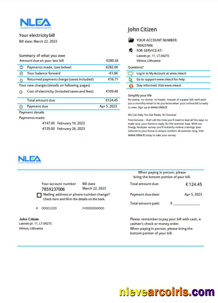 Premium Lithuania National Lithuanian Energy Association Utility Bill Word And PDF Template