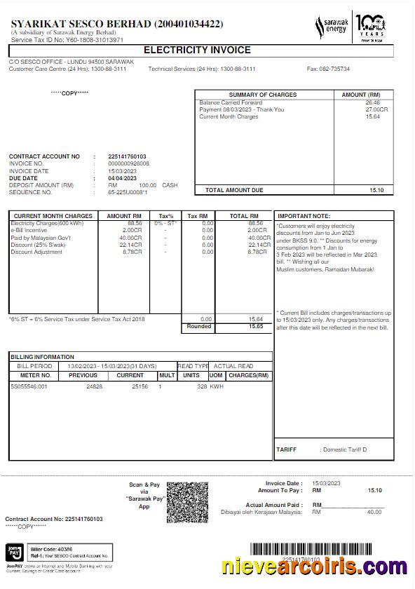 Professional MALAYSIA SARAWAK ENERGY Utility Bill Wordd And PDF Template