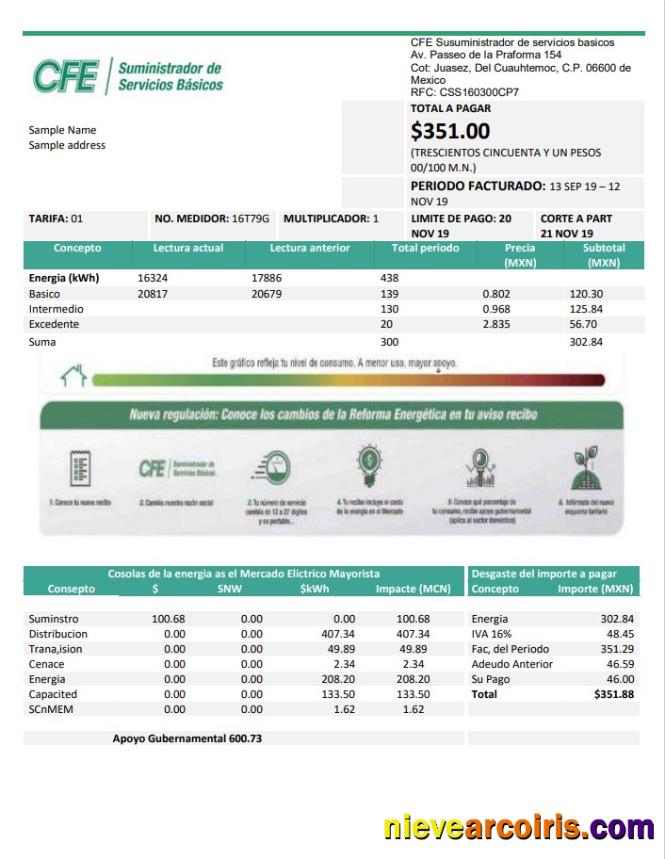 Professional Mexico Electricity CFE Utility Bill Template In Word And PDF Format, Fully Editable