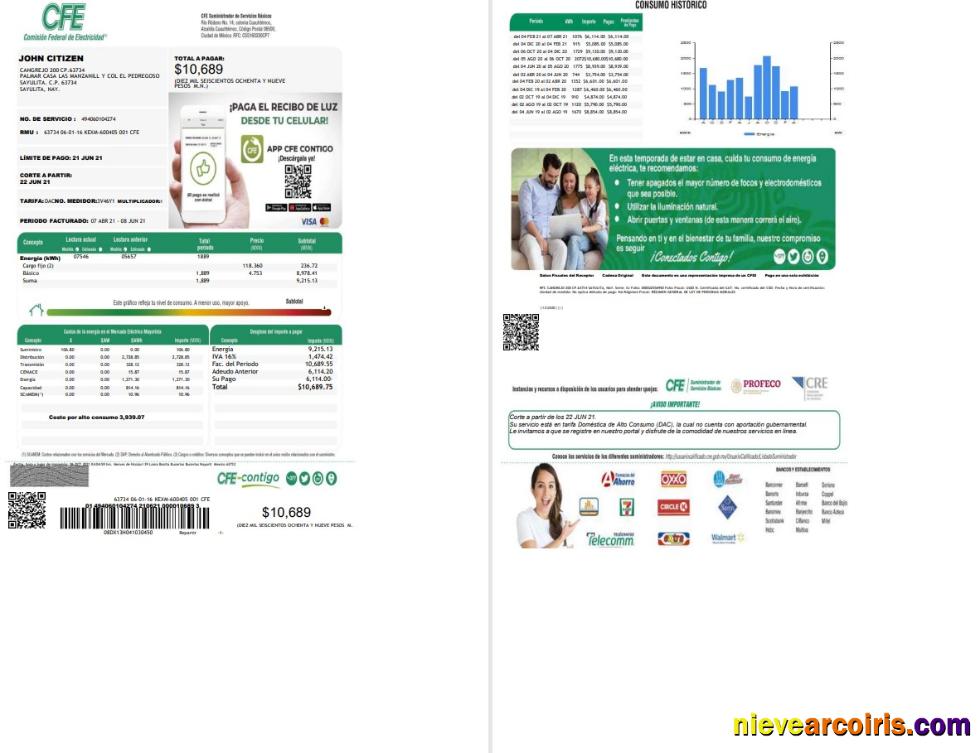 Editable Mexico Federal Electricity Commission (CFE) Utility Bill Template In Word Format, 2 Pages
