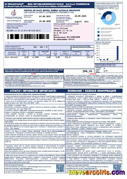 Premium Moldova Moldovagaz Utility Bill Template In Word And PDF Formats