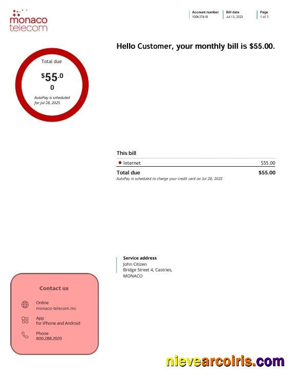 Monaco Telecom Internet Utility Bill, 3 Pages Photolook