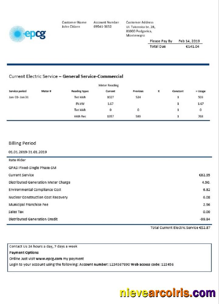 Editable Montenegro Elektroprivreda Crne Gore (EPCG) Electricity Utility Bill Template In Word And PDF Format