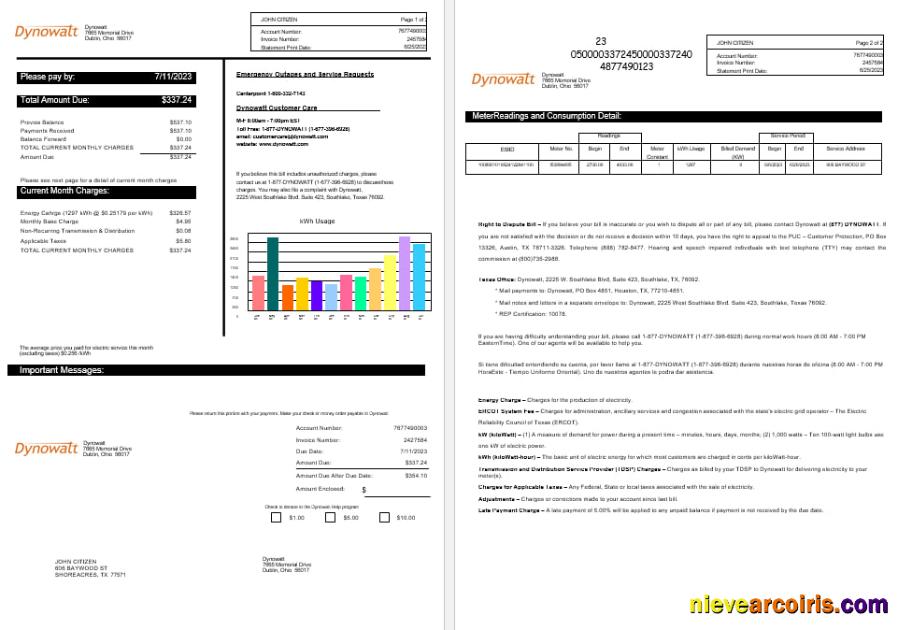 New York Dynowatt Electricity Utility Bill Word And PDF Formats Preview