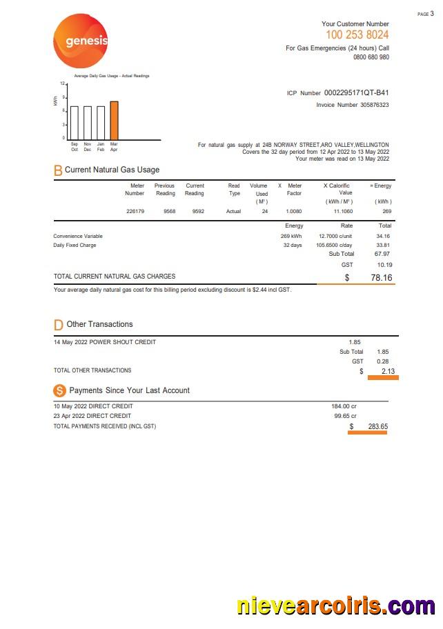 Professional New Zealand Genesis Gas Utility Bill Template In Word And PDF Format, 3 Pages 2