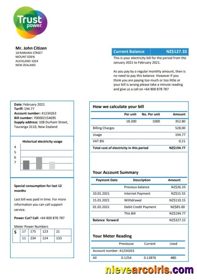 Premium New Zealand Trustpower Utility Bill Template In Word And PDF Format