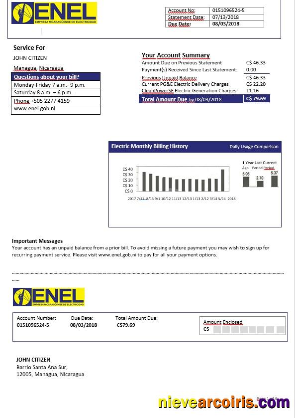 Realistic Nicaragua Nicaraguan Electricity Company ENEL Electricity Bill Template In Word Format