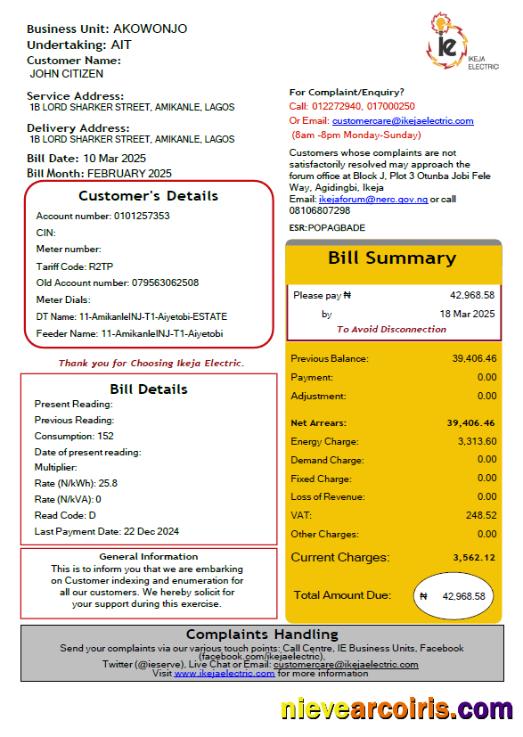 Realistic Nigeria IKEJA Electric Utility Bill Template In Word And PDF Formats