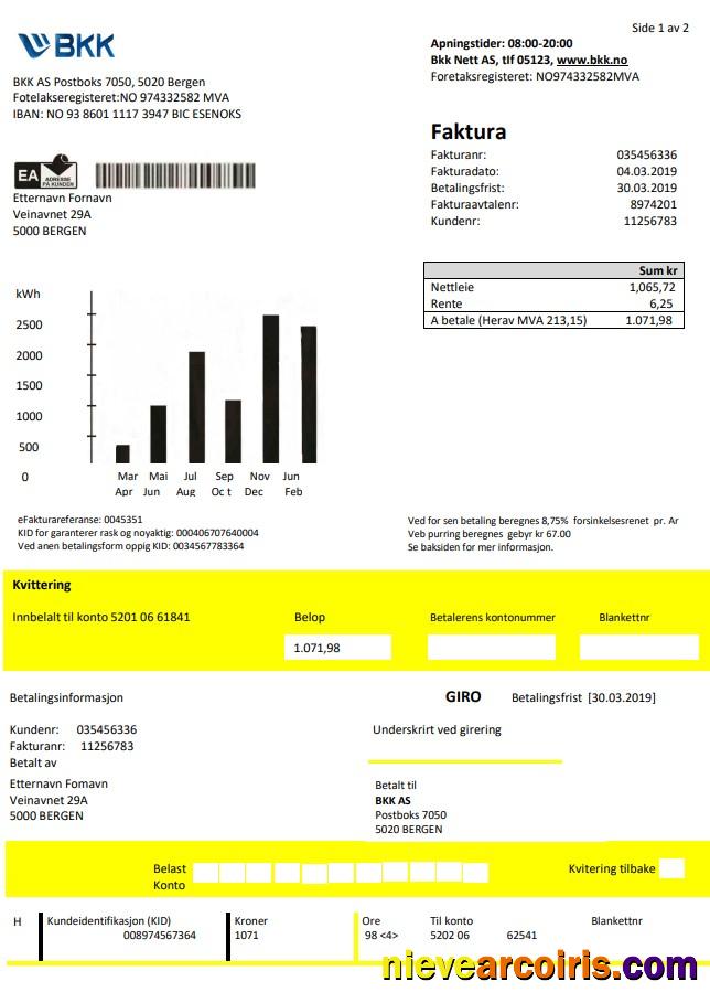 Realistic Norway BKK Electricity Utility Bill Template In Word And PDF Format, Good For Address Prove