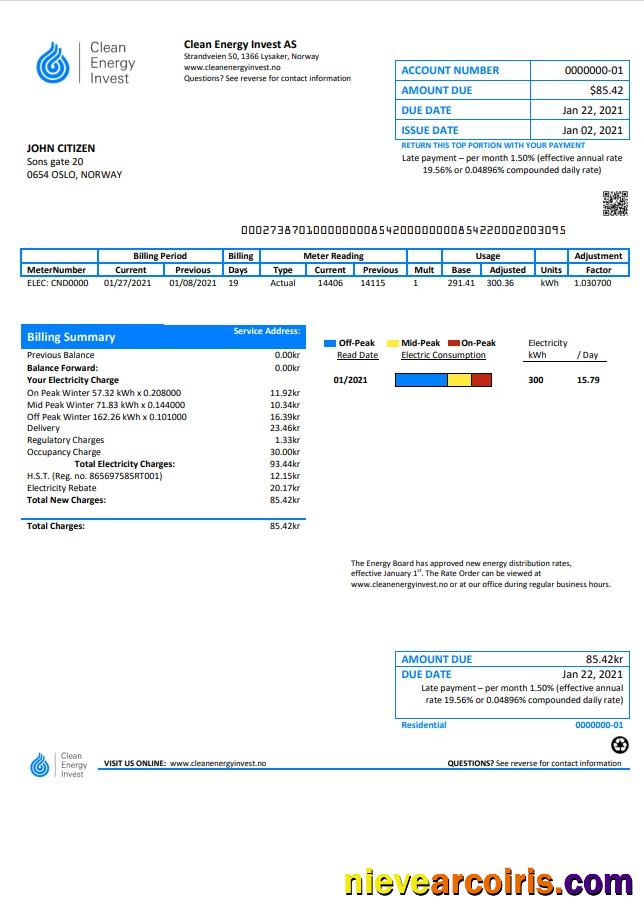 Premium Norway Clean Energy Invest AS Utility Bill Template In Word And PDF Format, Good For Address Prove