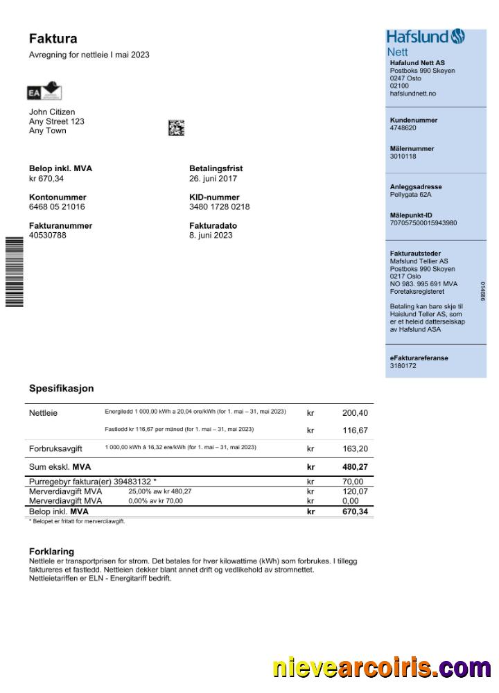 Professional Norway Hafslund Utility Bill Word And PDF Template