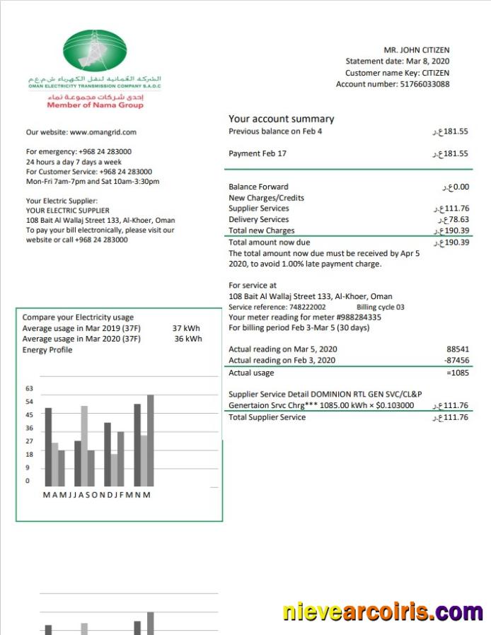 Realistic Oman Electricity Transmission Company Electricity Utility Bill Template In Word And PDF Format
