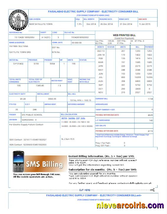 Professional PAKISTAN FAISALABAD Utility Bill Word And PDF Template