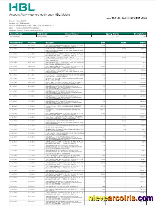 Professional PAKISTAN HBL Utility Bill Word And PDF Template
