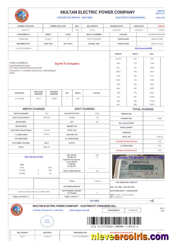 Premium PAKISTAN MULTAN ELECTRIC POWER Utility Bill Word And PDF Template