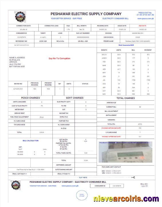 Premium PAKISTAN PESHAWAR ELECTRIC SUPPLY COMPANY Utility Bill Word And PDF Template