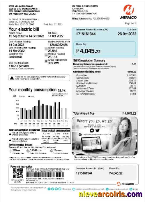 Premium PHILIPPINES MERALCO Utility Bill Word And PDF Template