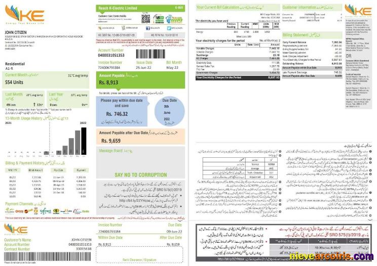 Realistic Pakistan KE Electricity Bill Template In Word And PDF Format, 2 Pages