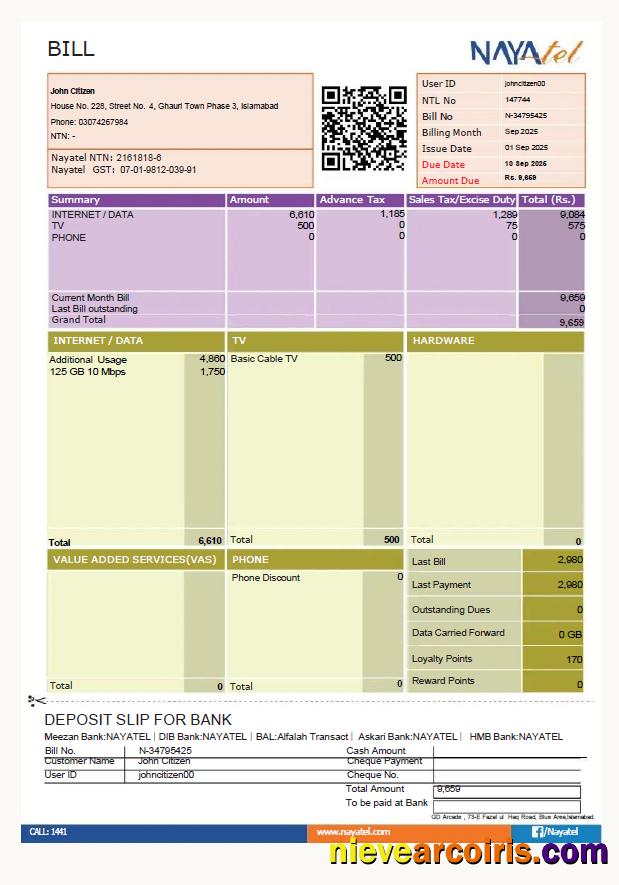 Realistic Pakistan NAYAtel Utility Bill Template In Word And PDF Formats