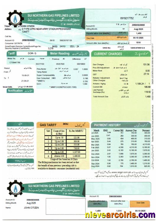 Realistic Pakistan Sui Northern Gas Pipelines Limited Utility Bill Template In Word And PDF Formats