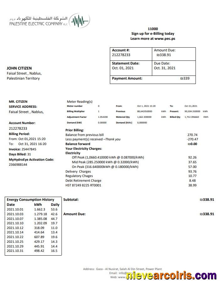 Realistic Palestine Electric Company (PEC) Utility Bill Template In Word And PDF Format