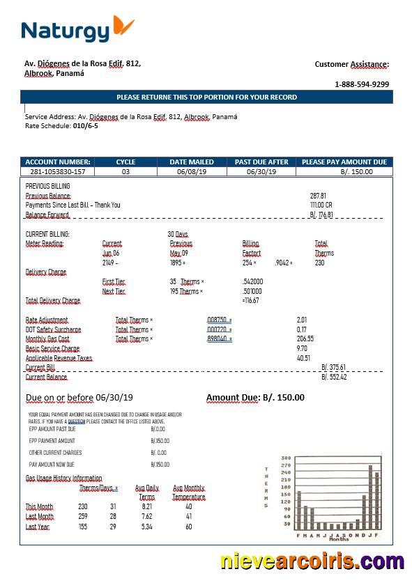 Panama Naturgy Electricity Company In Word Format Preview