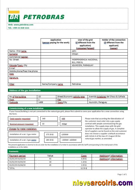 Paraguay Petrobras Paraguay Operations And Logistics Gas Company In Word Format Photolook