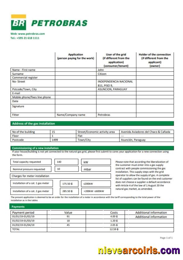 Professional Paraguay Petrobras Paraguay Operations And Logistics Gas Company Utility Bill Template In Word And PDF Format