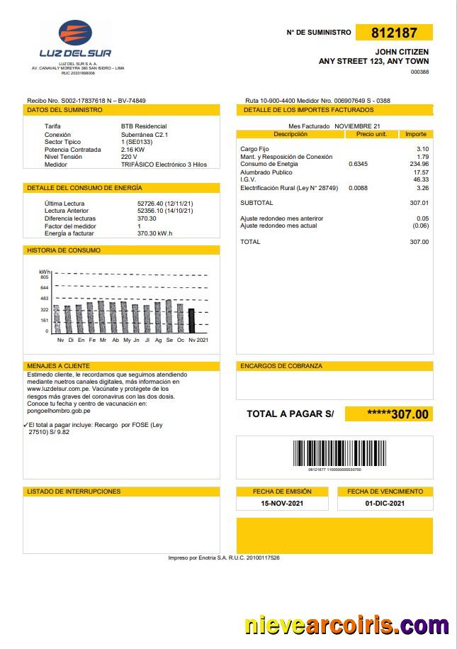 Editable Peru Luz De Sur Utility Bill Template In Word And PDF Format, Fully Editable
