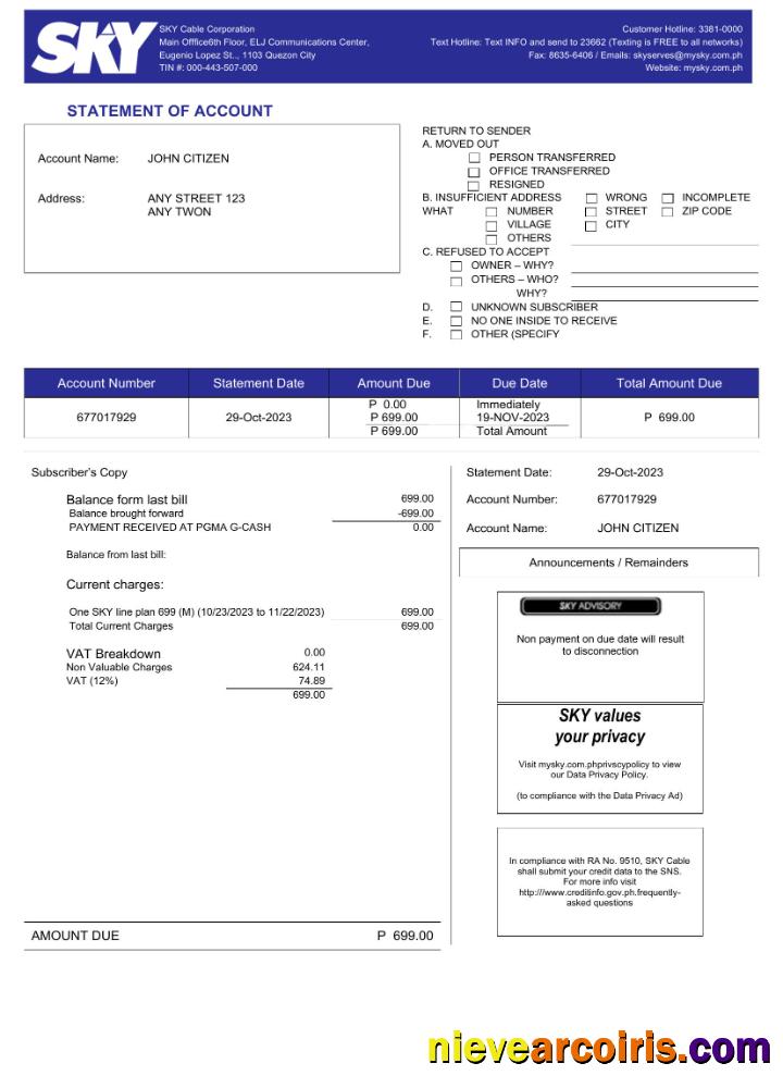 Professional Philippines Sky Cable Corporation Utility Bill Word And PDF Template
