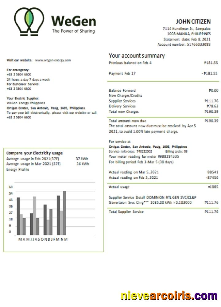 Premium Philippines WeGen Energy Philippines Utility Bill Template In Word And PDF Format