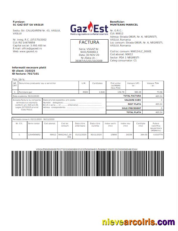 Editable ROMANIA GAZ EST Utility Bill Word And PDF Template