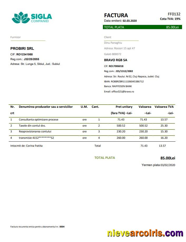 Premium Romania SIGLA COMPANIEI Utility Bill Template In Word And PDF Format