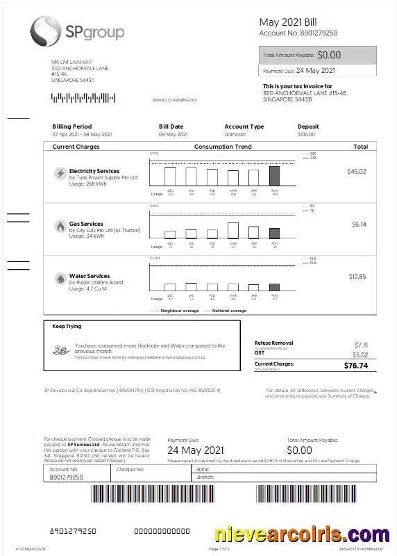 Editable SINGAPORE SP GROUP Utility Bill Word And PDF Template