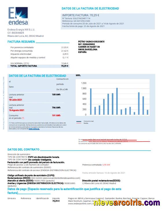 Premium SPAIN ENDESA Utility Bill Word And PDF Template