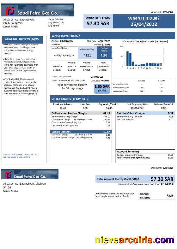 Premium Saudi Arabia Saudi Petro Gas Utility Bill, Word And PDF Template