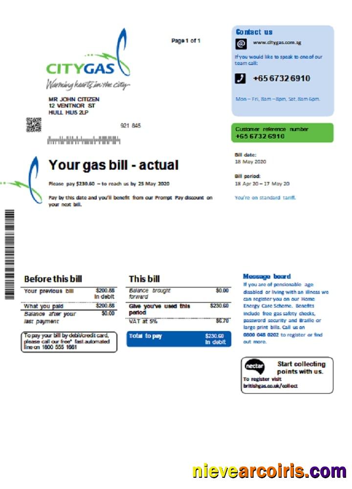Realistic Singapore City Gas Utility Bill Template In Word And PDF Format