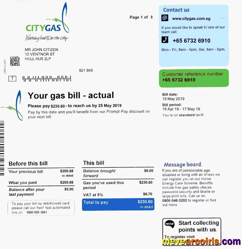 Premium Singapore City Gas Utility Bill Template, Fully Editable In PSD Format