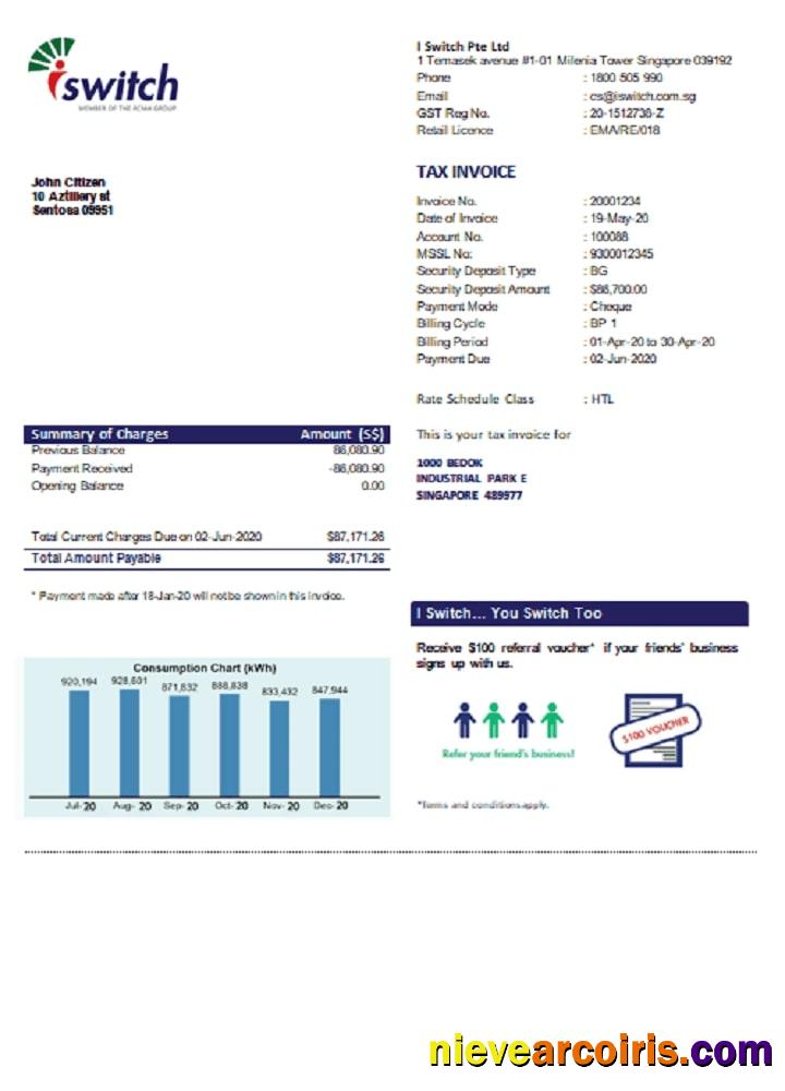 Professional Singapore I Switch Electricity Utility Bill Template In Word And PDF Format