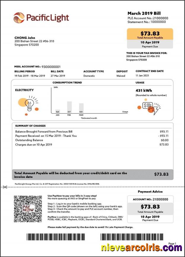 Professional Singapore Pacific Light Electricity Utility Bill Template In Word And PDF Format