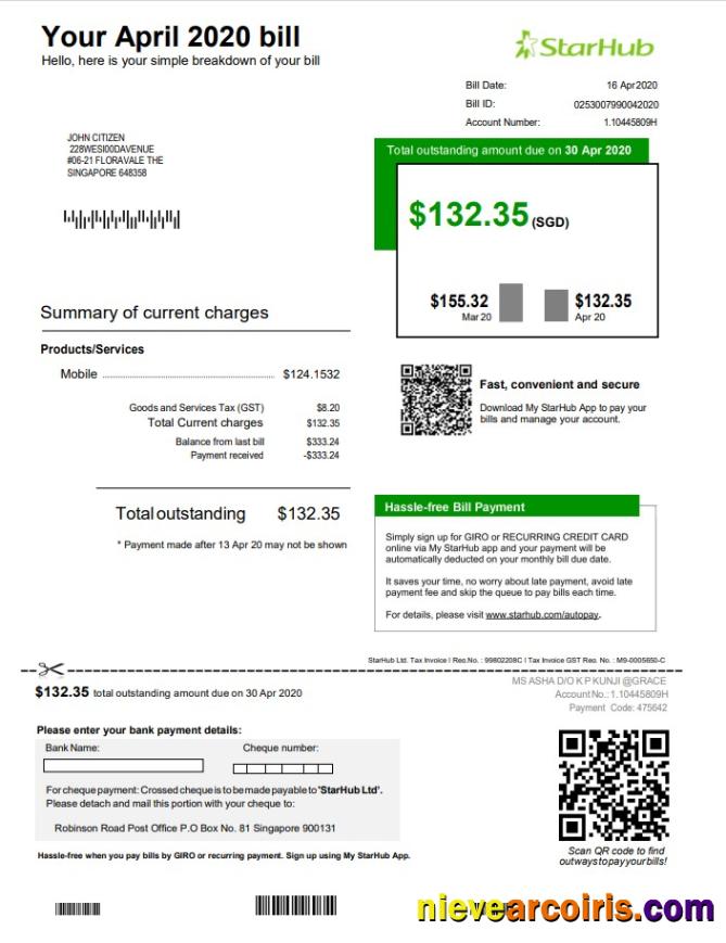 Professional Singapore StarHub Utility Bill Template In Word And PDF Format