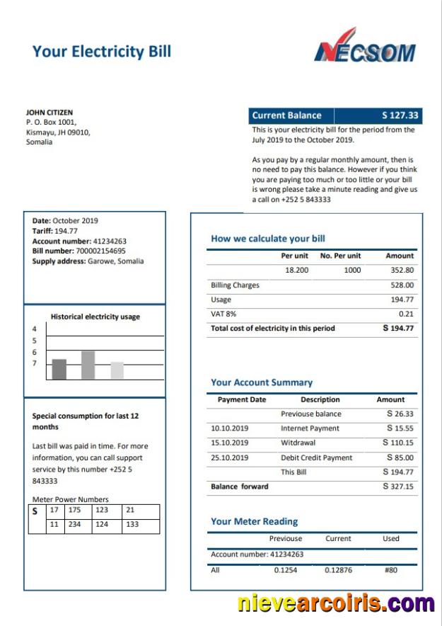 Professional Somalia NESCOM Company Electricity Utility Bill Template In Word And PDF Format