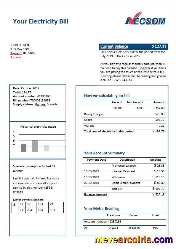 Somalia NESCOM Electricity Bill In Word Format Photolook
